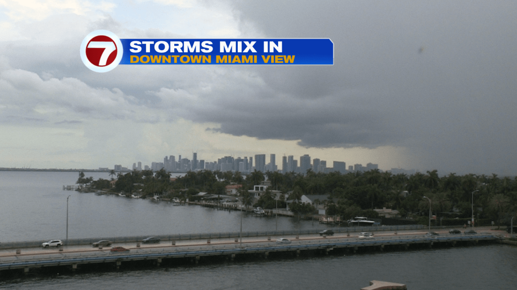 Rainy Rounds - WSVN 7News | Miami News, Weather, Sports