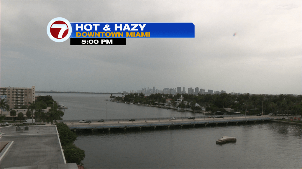 A Familiar Feel - WSVN 7News | Miami News, Weather, Sports