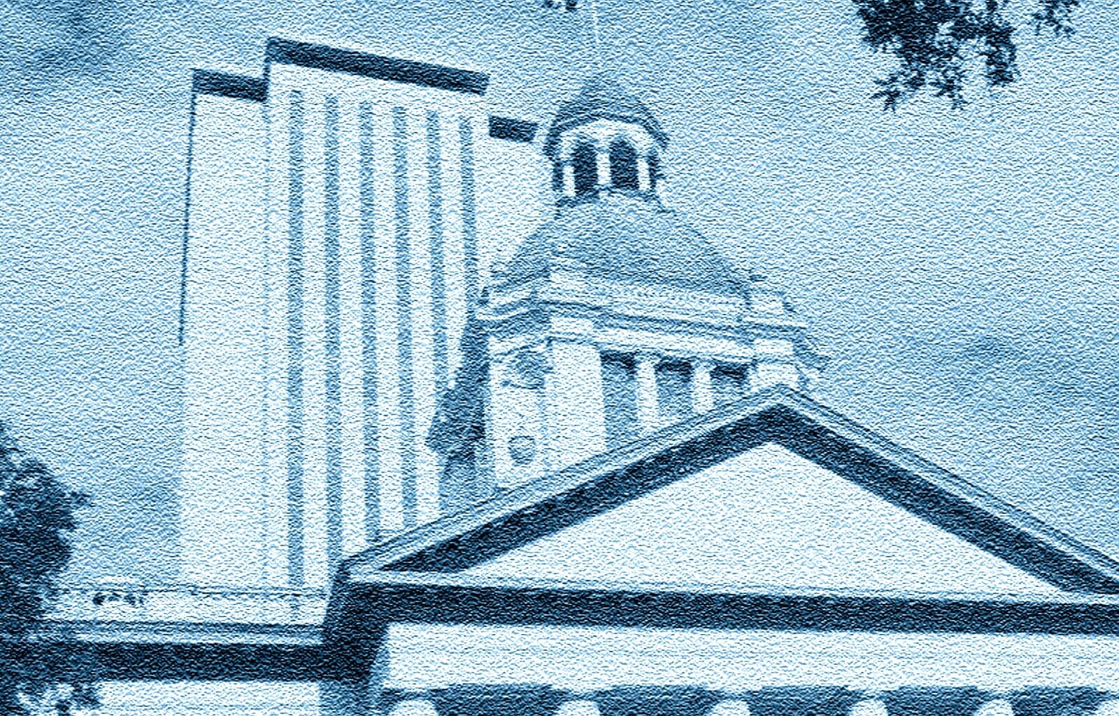 Blue Tally Takeaways (3)