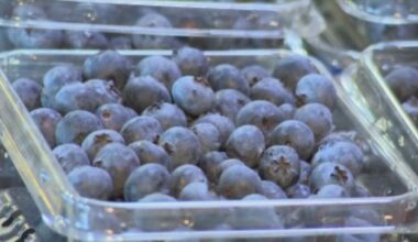 Publix issues frozen blueberry recall in Florida – NBC 6 South Florida