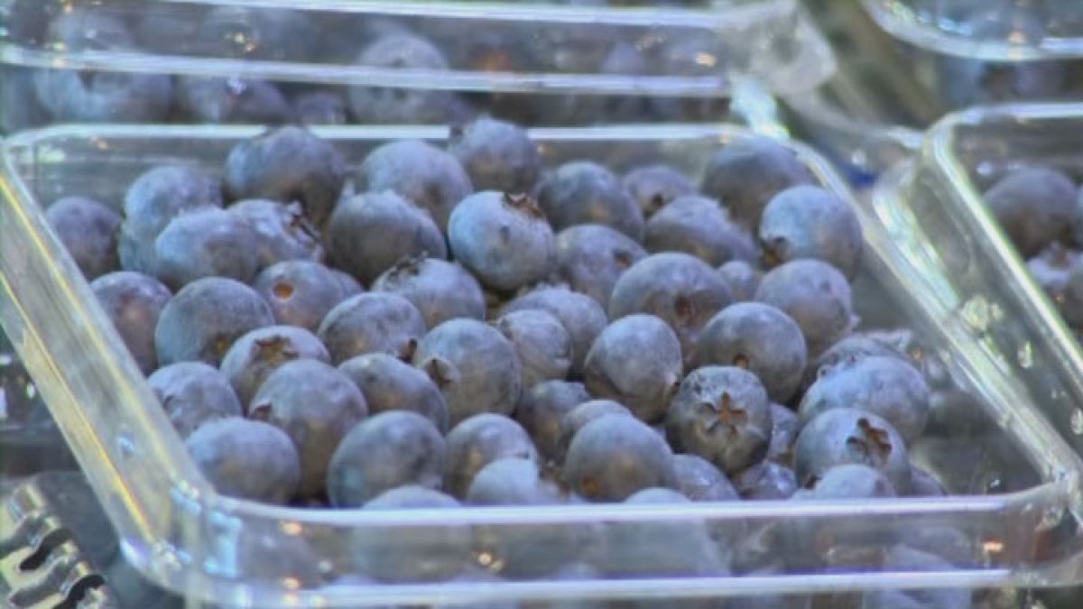 Publix issues frozen blueberry recall in Florida – NBC 6 South Florida
