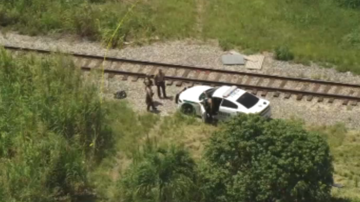 Body of man found in SW Miami-Dade, deputies say – NBC 6 South Florida