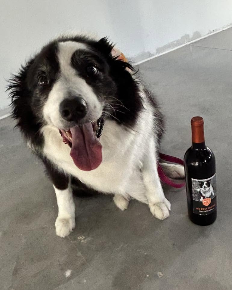 Pet Alliance looks for picture perfect in their 13th annual My Best Friend Wine Label Contest