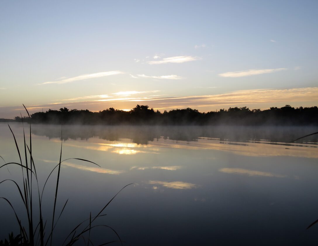 Cape Coral, Fort Myers share Florida League of Cities’ 2026 Municipal Achievement Award | News, Sports, Jobs