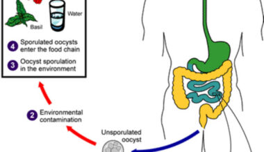article image -