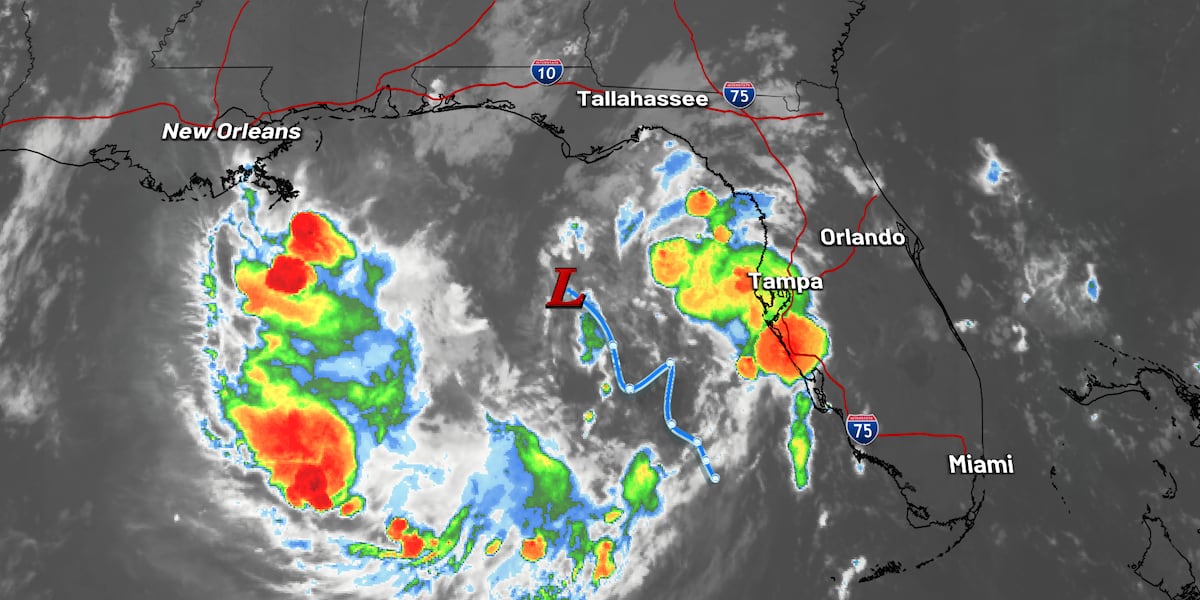 What is "Invest 91L" and how it impacts the rest of your weekend for Tallahassee, the Big Bend and South Georgia