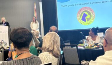 Chamber luncheon draws nonprofits, participants - SANIBEL-CAPTIVA