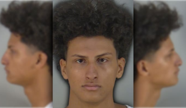 Central Florida man accused of posting sex act with dog online