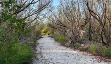 City completes park, preserve trail restoration - SANIBEL-CAPTIVA