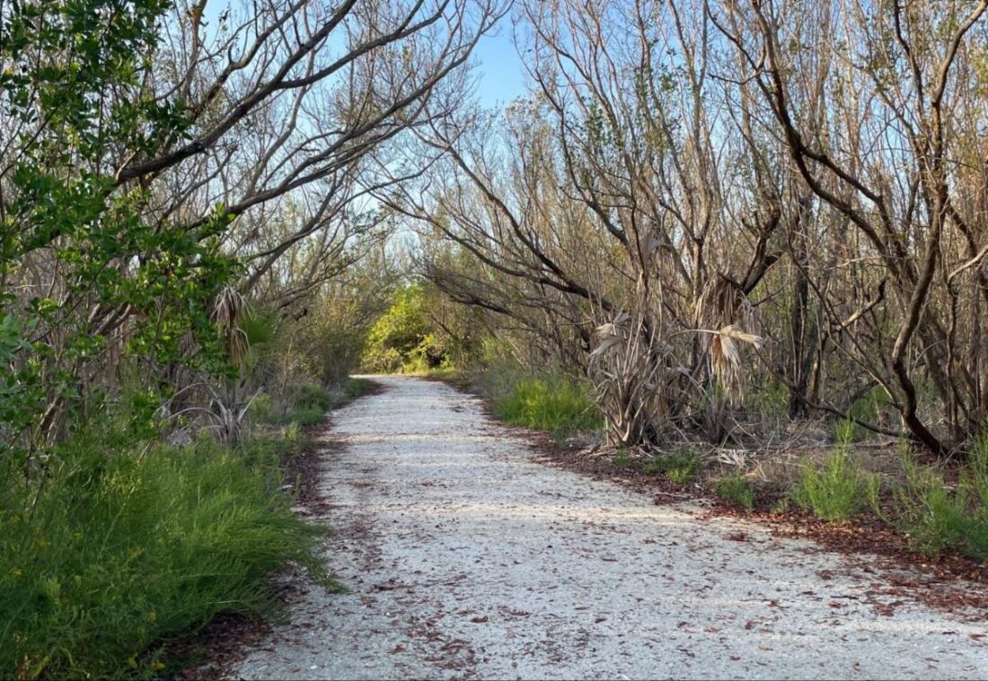 City completes park, preserve trail restoration - SANIBEL-CAPTIVA