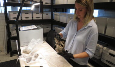 Mound House artifact preservation center unlocking secrets to island’s ancient Calusa history - FORT MYERS