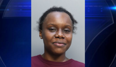 North Miami woman arrested in DUI crash that left child with severe brain injuries, FHP says - WSVN 7News | Miami News, Weather, Sports