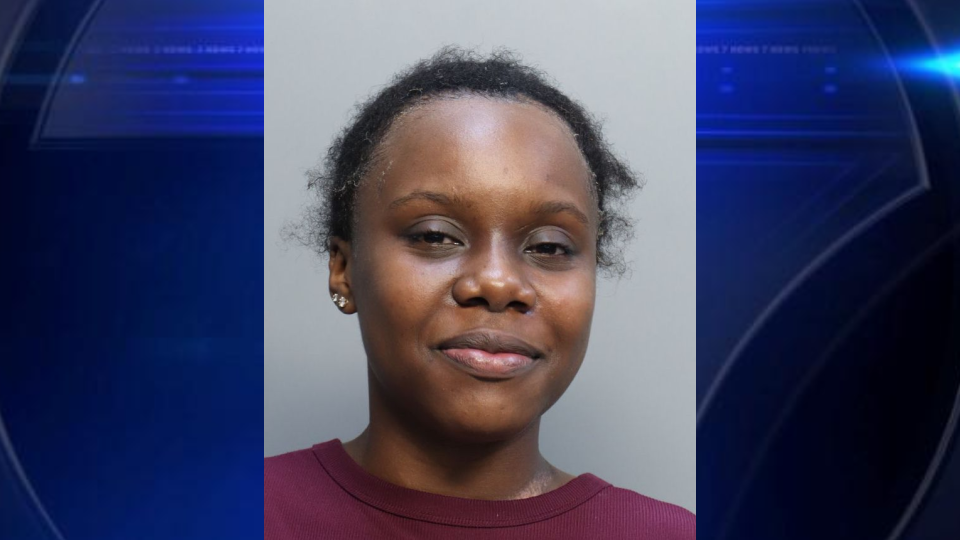 North Miami woman arrested in DUI crash that left child with severe brain injuries, FHP says - WSVN 7News | Miami News, Weather, Sports
