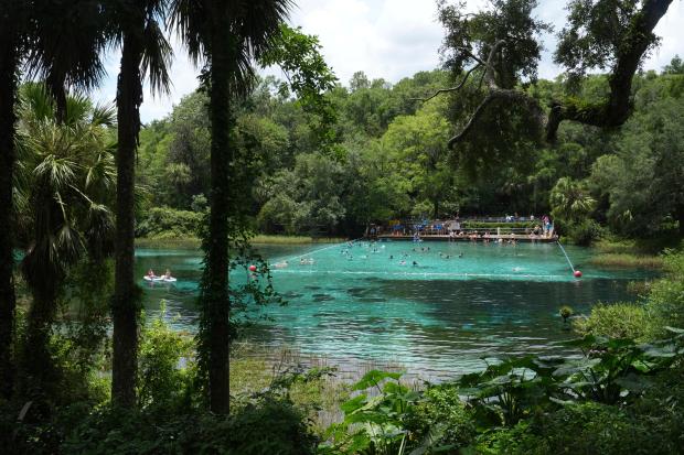 The bathing area at Rainbow Springs State Park on Friday, July 18, 2025, in Dunnellon, Fla. (AP Photo/Marta Lavandier)