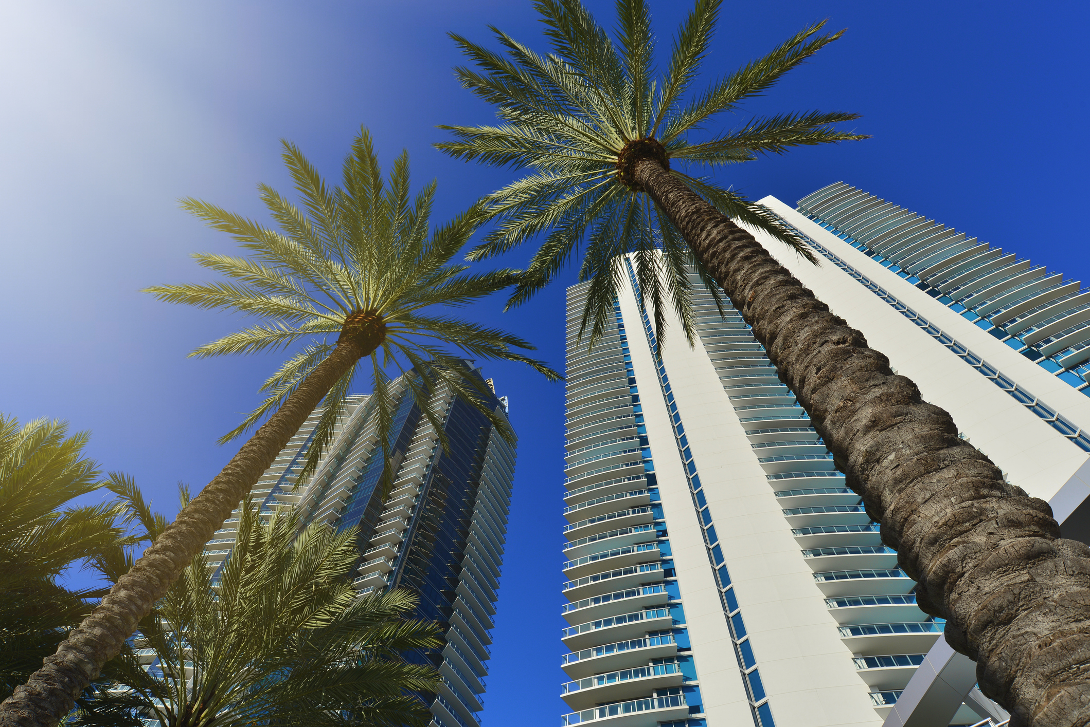condo Florida