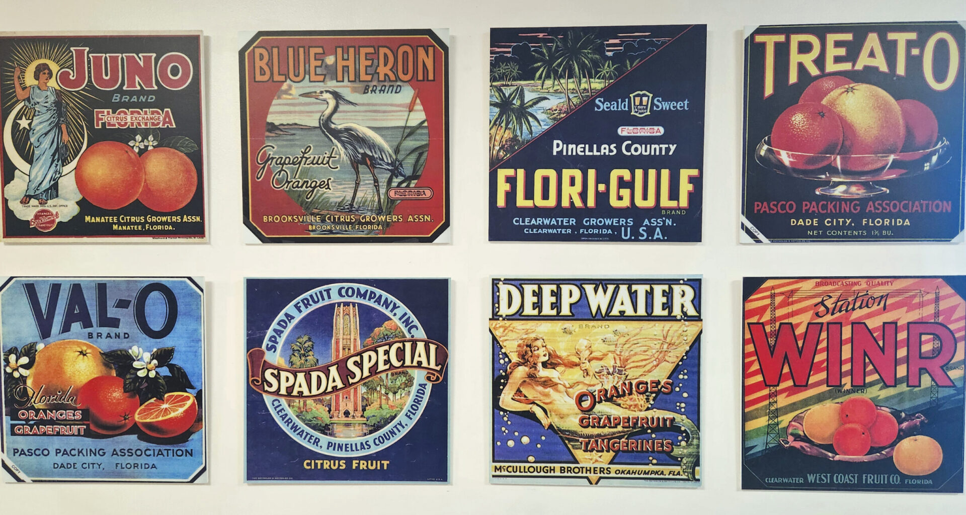 Creative Pinellas celebrates citrus art with airport show
