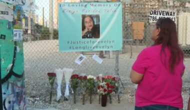 Family sues city of Miami, officers, nightclub & security company over fatal Wynwood police shooting