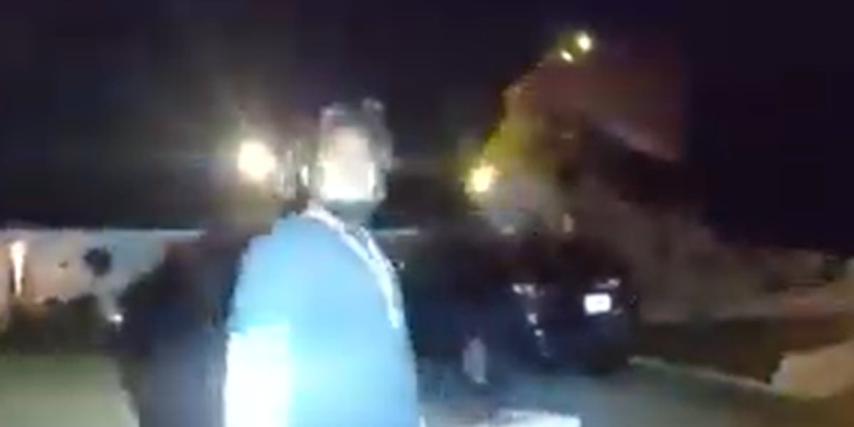 Tampa Police Department fires officer after taser used during traffic stop