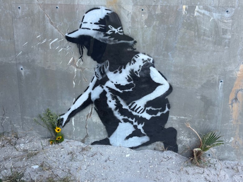 A close-up photograph of black and white stenciled street art by D.N.Z. on a cracked concrete wall at the John's Pass Bridge in Treasure Island, Florida, taken on June 23, 2026. The right side of the image reveals the edge of a stenciled black and white figure, surrounded by white, diagonal dashed lines painted onto the grey concrete. A clear rectangular protective panel is bolted into the wall, partially covering the artwork. Resting in the pale sand at the very base of the wall is a small, real bouquet of bright yellow sunflowers and green sprigs.
