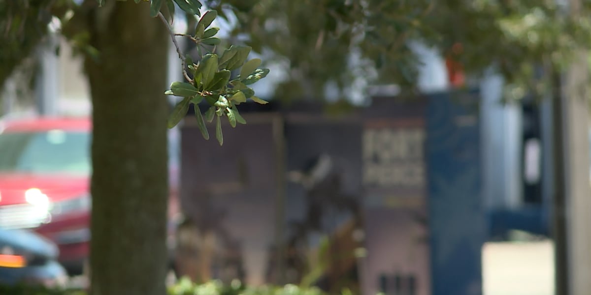 'Top down, bottom up approach': After multiple lawsuits, Fort Piece rethinks development process