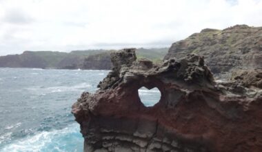Florida woman, 27, rescued after falling into ocean near Nakalele Point : Maui Now