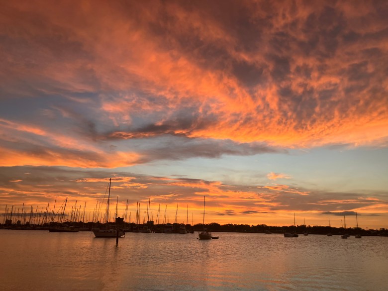 A scenic sunset photograph over the water at Davis Islands Beach in Tampa, Florida, taken on July 3, 2026. The sky is filled with dramatic, textured clouds glowing with vibrant shades of fiery orange, peach, and soft purple. Below, the calm water beautifully reflects the colorful sky. In the midground, the dark silhouettes of numerous moored sailboats with tall masts are scattered across the bay, set against a distant, dark tree line of trees and homes on the horizon.