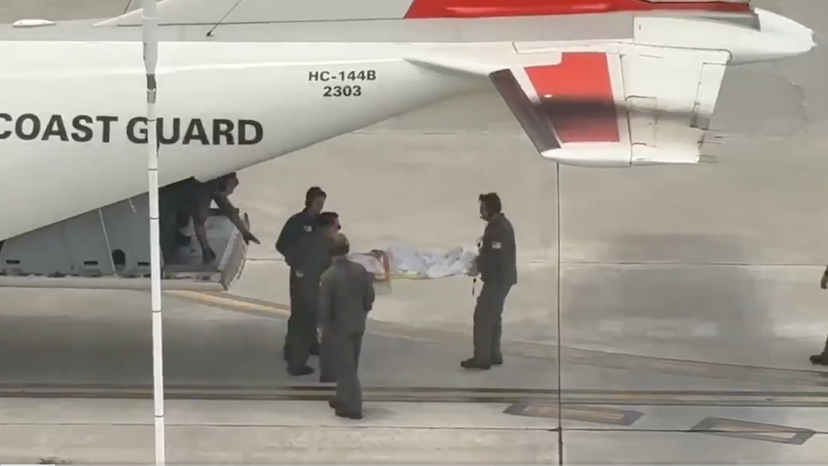 Boy, 9, airlifted to Miami after dog attack on Bahamas beach – NBC 6 South Florida
