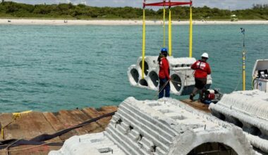 Researchers Expand Hybrid Reef Project Off Miami Beach