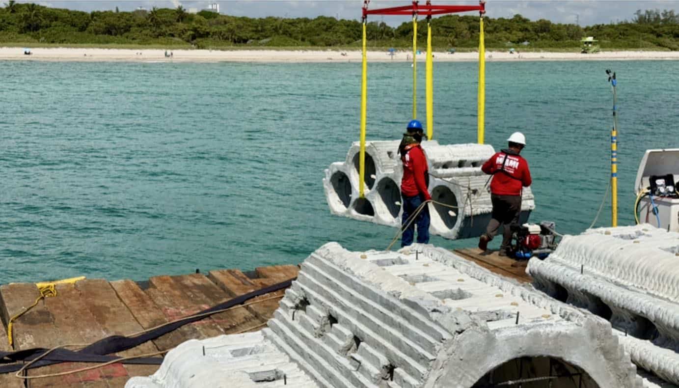 Researchers Expand Hybrid Reef Project Off Miami Beach