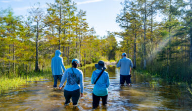Defending Florida’s waters - Florida Weekly
