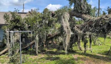 ‘God got me’: Jacksonville woman credits faith after tree destroys her bedroom during Saturday storms