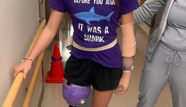 Florida shark attack on teen inspires start of national alert system – Sun Sentinel