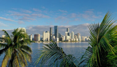 Aerial view of palm trees framing the city skyline on October 27, 2021 in Miami, Florida.