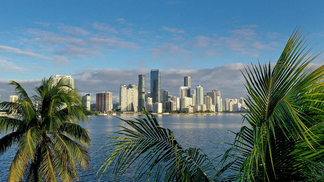 Aerial view of palm trees framing the city skyline on October 27, 2021 in Miami, Florida.