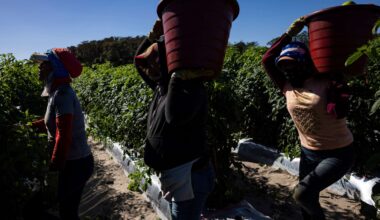 Florida Farmworkers Exposed to Scorching Heat and Pesticides