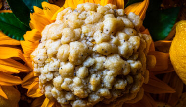 Gideon's Bakehouse July Second Drop: Lemon Poppyseed Cookie and Christmas in July Treat