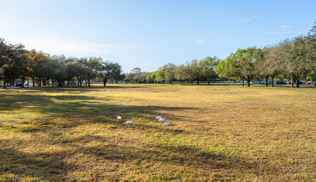 Coral Gables deal could bring more undergrads and a hospital to UM