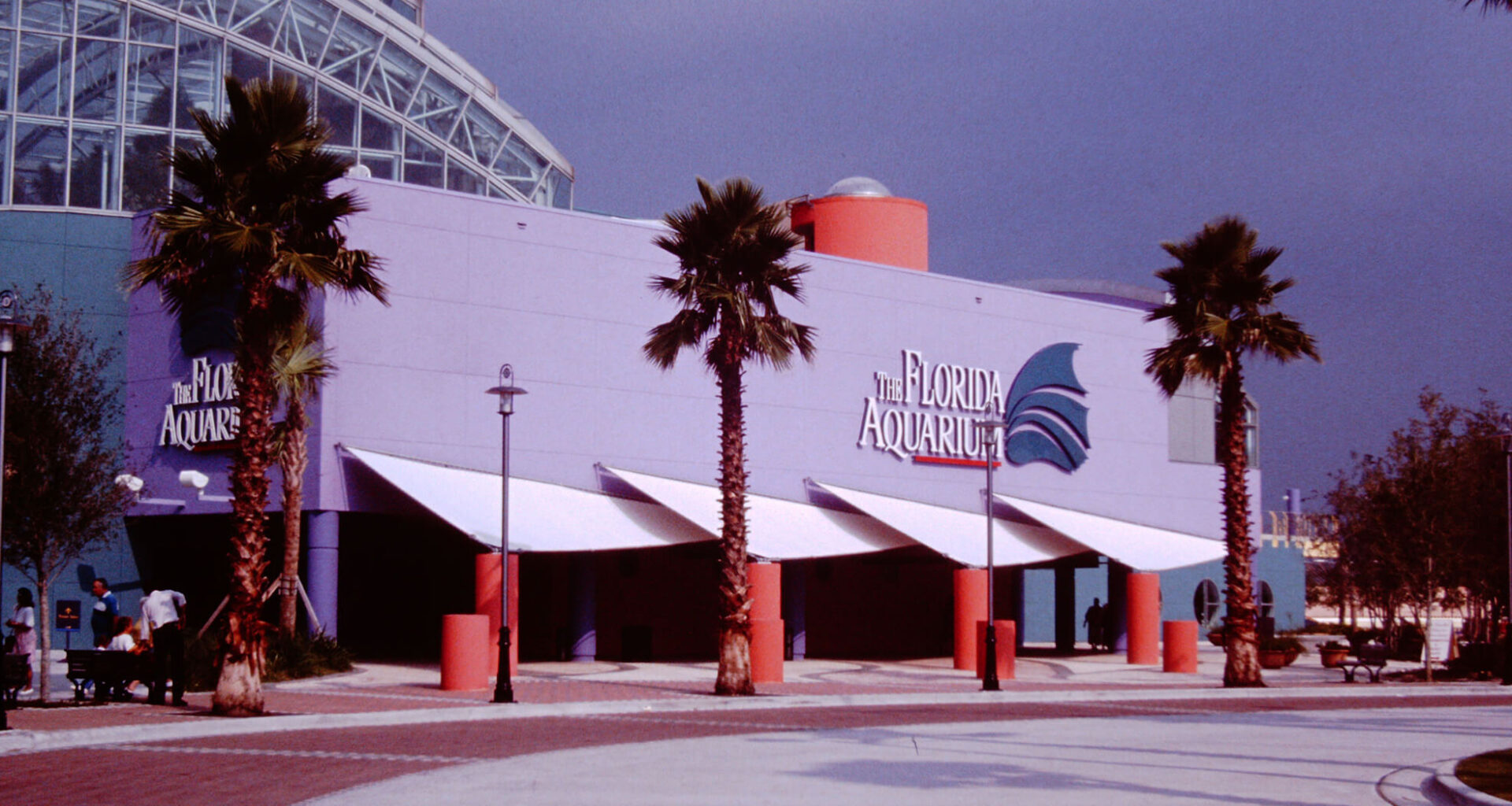 How The Florida Aquarium helped shape Downtown Tampa's transformation