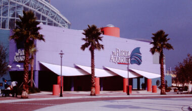How The Florida Aquarium helped shape Downtown Tampa's transformation