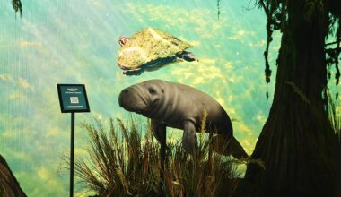 Florida pavilion, Florida House offer taste of Sunshine State history in nation's capital