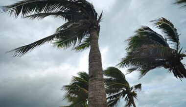 Meteorologist to speak at Winter Garden Heritage Foundation Lunch & Learn