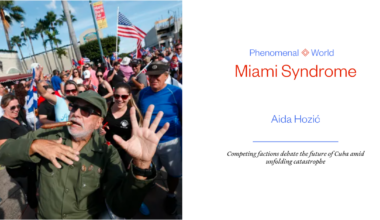 Miami Syndrome - Phenomenal World