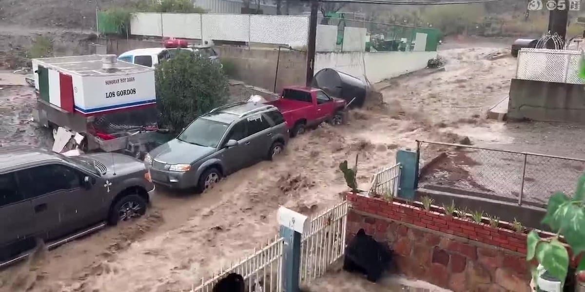 Partisan discrepancy found after Miami denied federal aid for deadly flooding