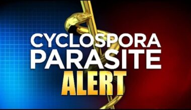 Reported Florida cases linked to diarrhea-causing parasite spike by nearly 100 in 1 week, with 22 local cases