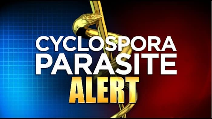 Reported Florida cases linked to diarrhea-causing parasite spike by nearly 100 in 1 week, with 22 local cases