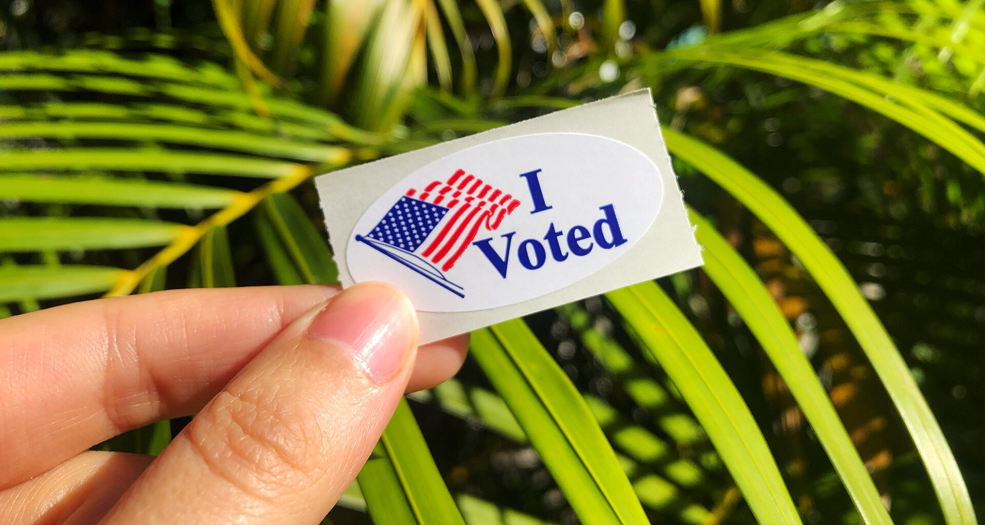 I voted sticker held up against a green palm tree background