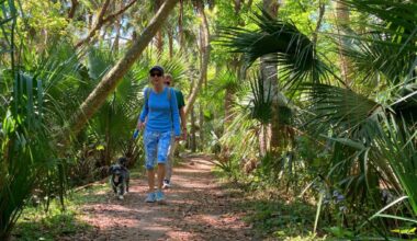 Seminole County said drastic cuts to parks, libraries and other services if property tax referedum passes.