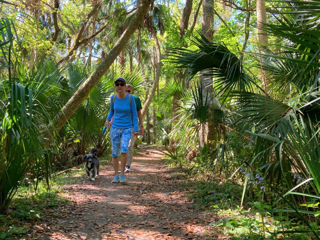 Seminole County said drastic cuts to parks, libraries and other services if property tax referedum passes.