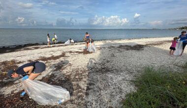 It's a tradition we do here on Tampa Bay every 4th, and no we're not talking about just fireworks. Keep Tampa Bay Beautiful held its 'After the forth' clean up. (Spectrum News/Randy Levine)