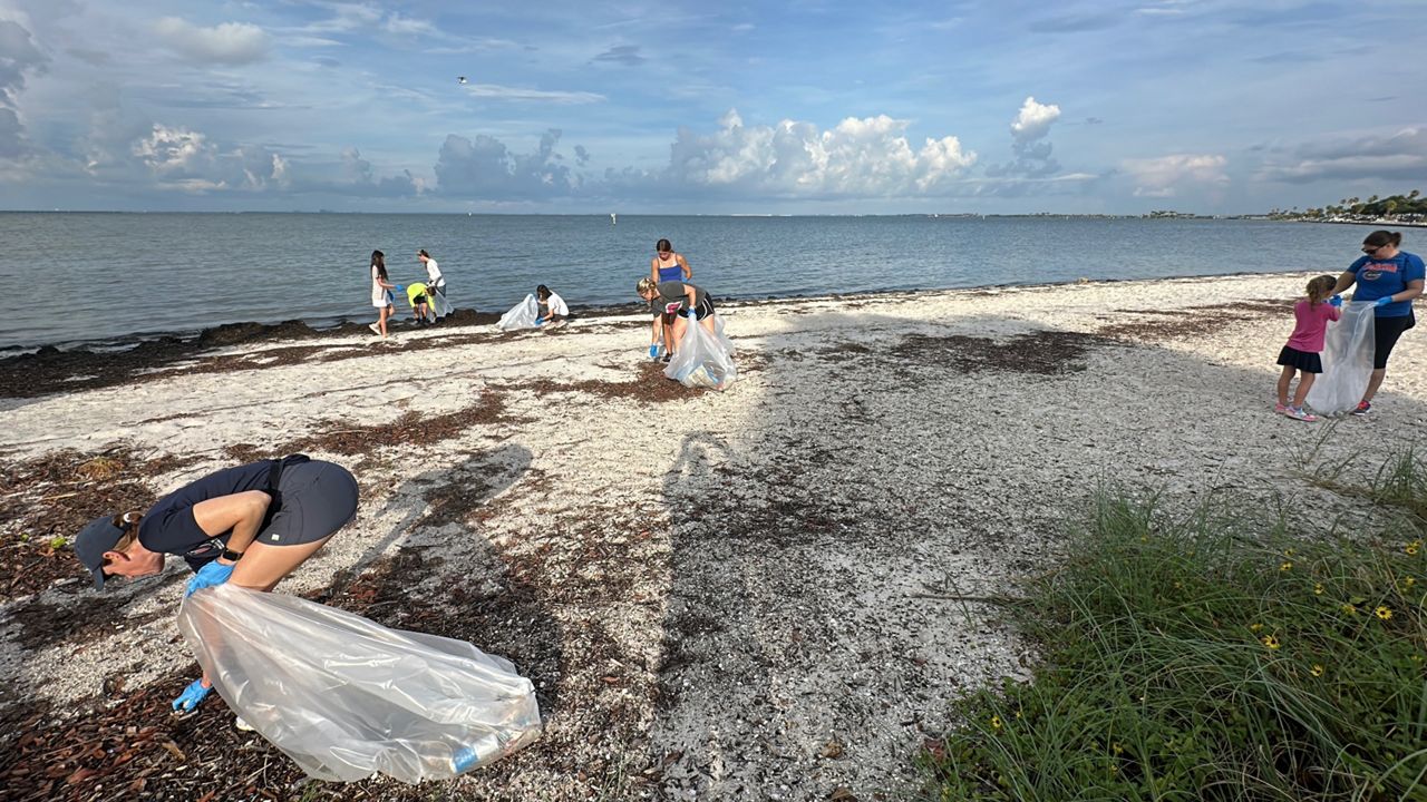 It's a tradition we do here on Tampa Bay every 4th, and no we're not talking about just fireworks. Keep Tampa Bay Beautiful held its 'After the forth' clean up. (Spectrum News/Randy Levine)